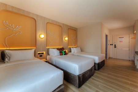 Moose Easy Hotel, Chiang Mai, Thailand