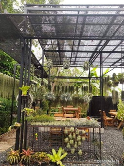 ทิลแลนด์เซีย รีสอร์ท, Thanya Buri, Thailand