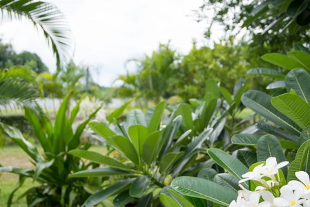 Chum Phae Lagoon Resort, Chum Phae, Thailand