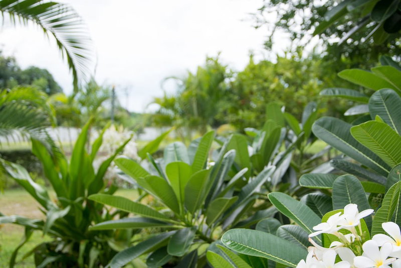 Chum Phae Lagoon Resort, Chum Phae, Thailand