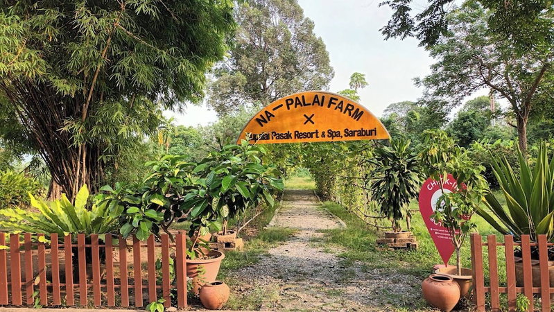 Supalai Pasak Resort Hotel and Spa, Saraburi, Thailand