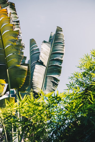 The Park Society - Hostel, Chiang Mai, Thailand