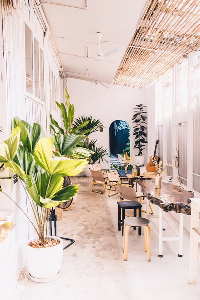 The Park Society - Hostel, Chiang Mai, Thailand
