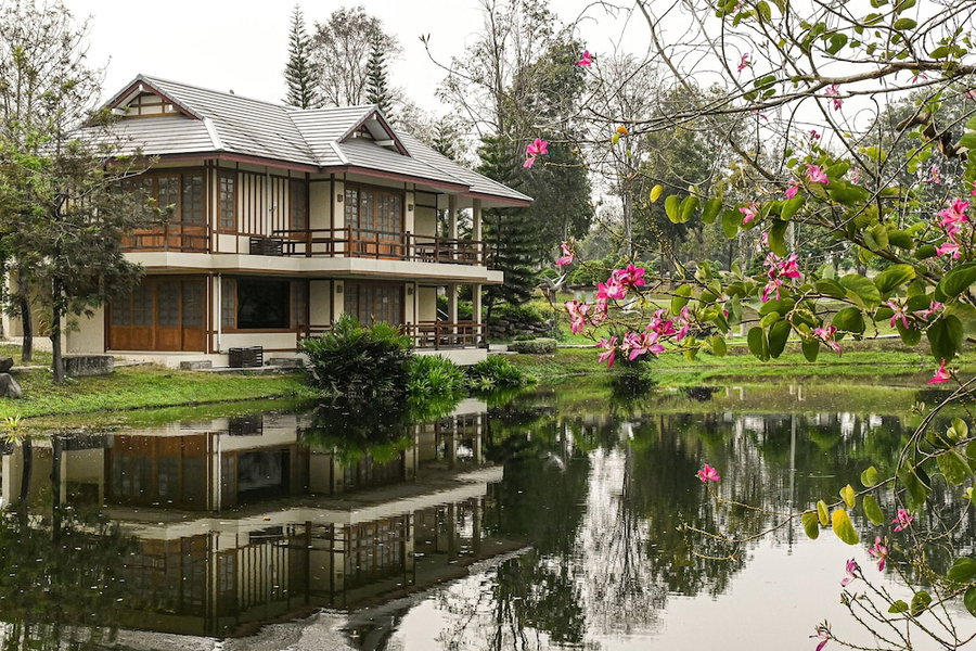 Suanpung Bonsai Village, Suan Phueng, Thailand