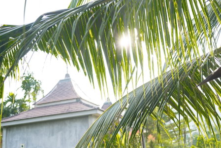 Anodard Phuket, Sa Khu, Thailand
