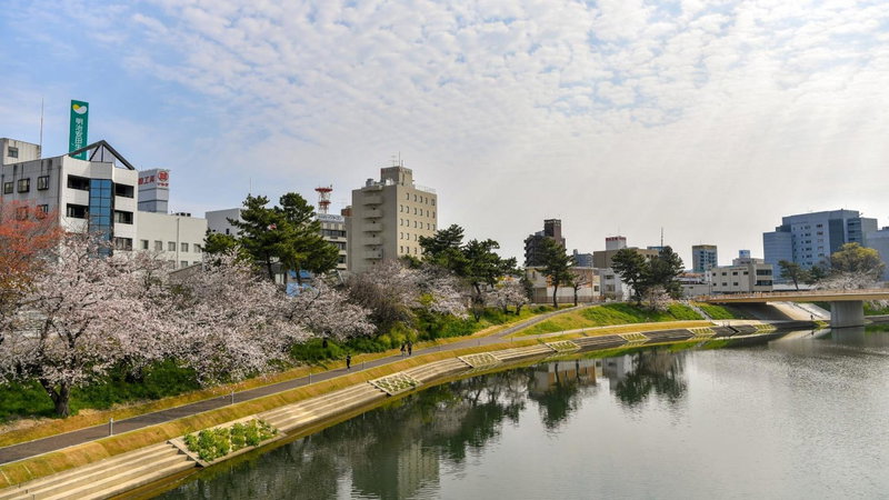 Okazaki Daiichi Hotel East Wing, Okazaki, Japan