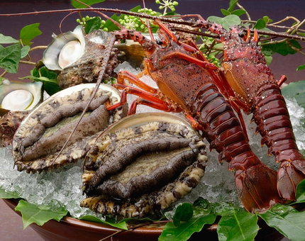 Nasubi no Hana, Ito, Japan