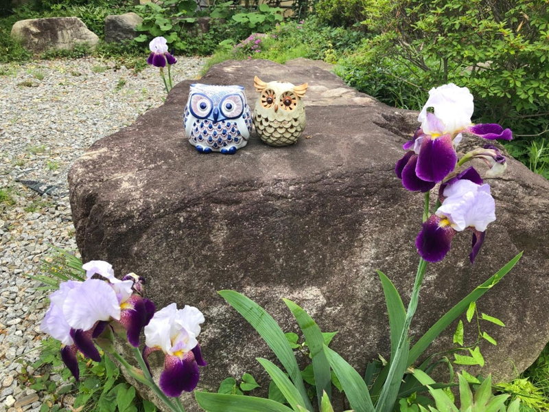 Fukurou no Oyado - Vacation STAY 71243v, Fuefuki, Japan