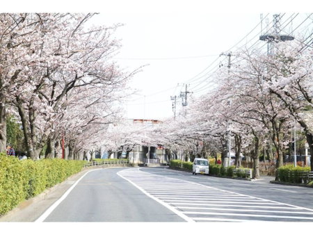 Maison Cresta Urayasu - Vacation STAY 11150, Urayasu, Japan