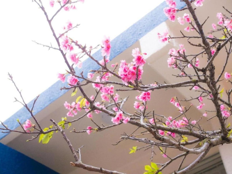Villa East Hana - Vacation STAY 76042v, Nago, Japan