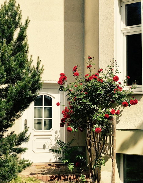 Bürgerpark Apartments, Berlin, Germany