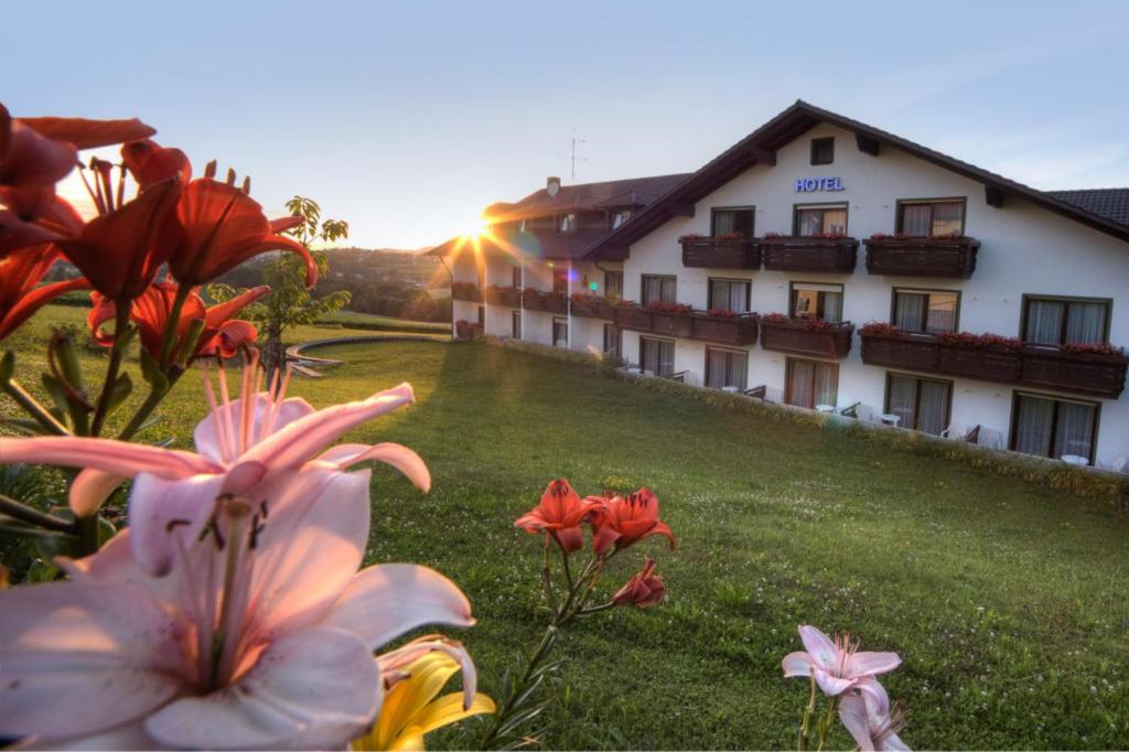 Hotel · Urlaubshotel Binder, Büchlberg