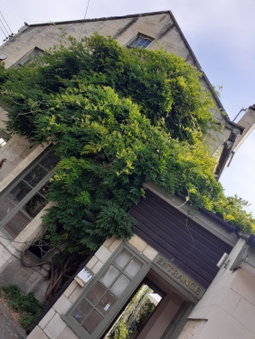 The Barge Inn, Bradford on Avon, United Kingdom