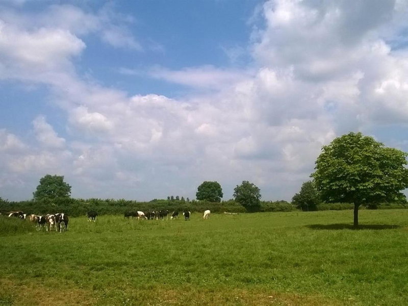 Battens Farm Cottages - B&B and Self-Catering Accommodation, Yatton Keynell, United Kingdom