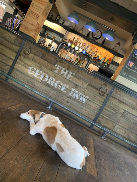 The George Inn Middle Wallop, Stockbridge, United Kingdom
