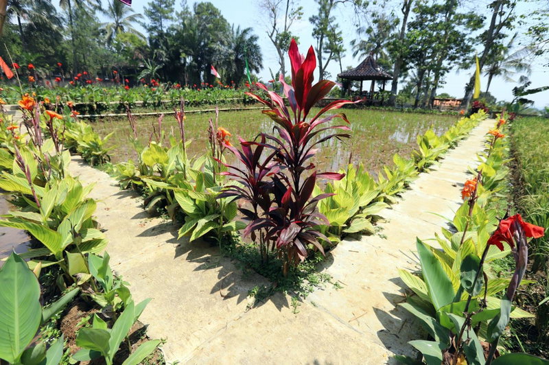 Katumbiri Resort and Villa by Tripletree, Bogor, Indonesia