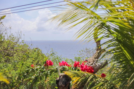Manta Cottages with Sea View, Nusa Penida, Indonesia