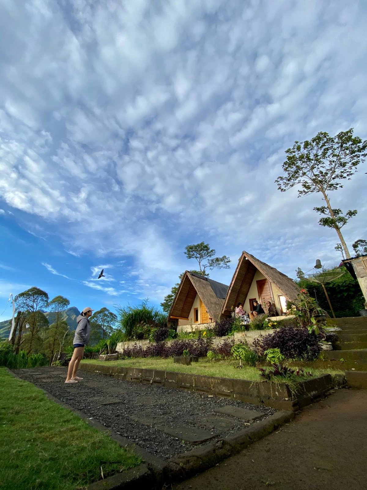 Hotel · Alengkong Double View, Kintamani