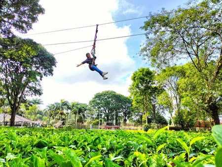 Kebun Teh Wonosari Rollaas Hotel & Resort, Malang, Indonesia