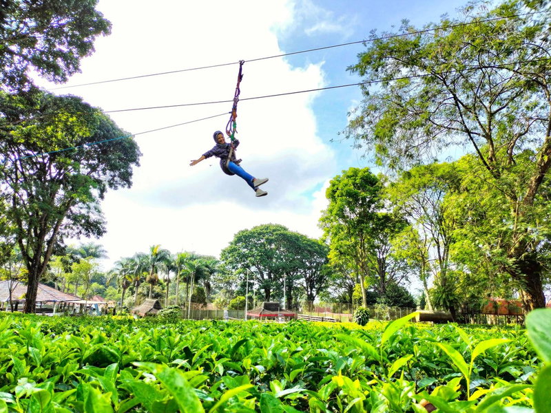 Kebun Teh Wonosari Rollaas Hotel & Resort, Malang, Indonesia