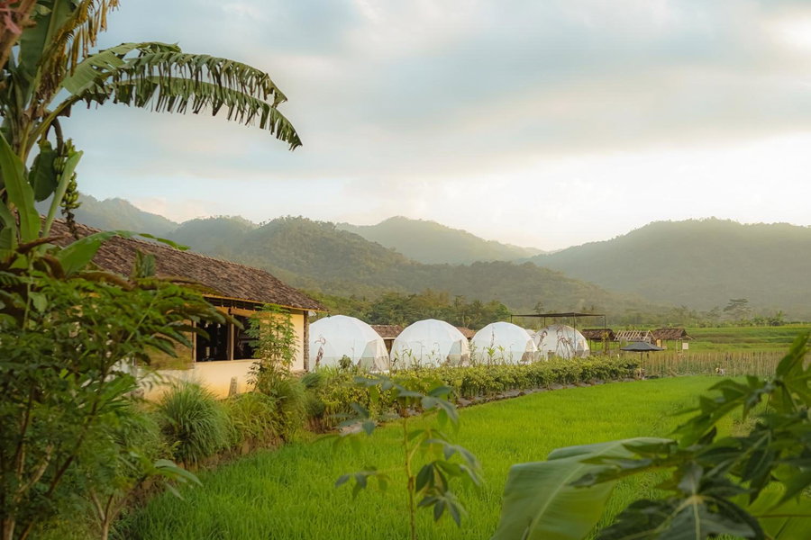 Borobudur Luxury Glamping, Magelang, Indonesia