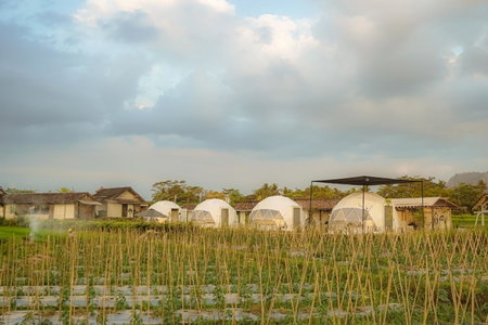 Borobudur Luxury Glamping, Magelang, Indonesia