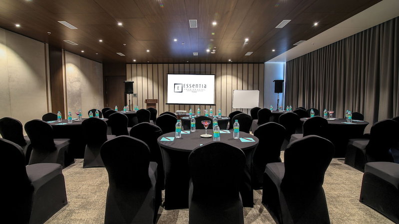 Essentia Premier Hotel Pune, Paud, India