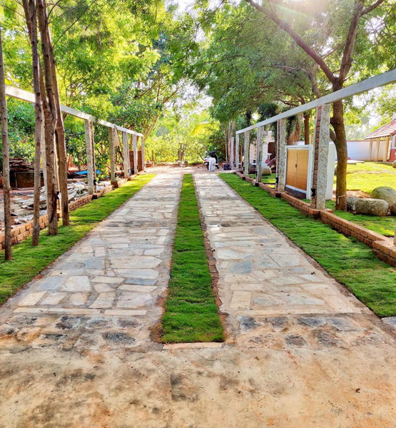Sun Farm House, Auroville, India