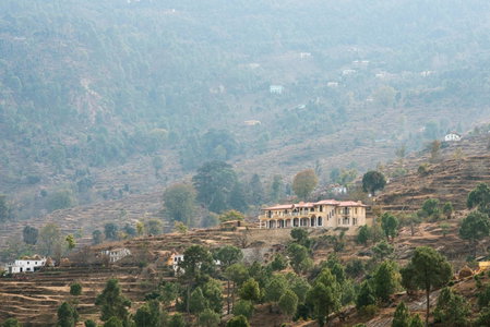 The Orchard at Peora Estates, Mukteswar, India