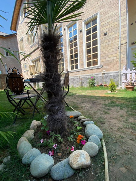 Cape villa, Srinagar, India