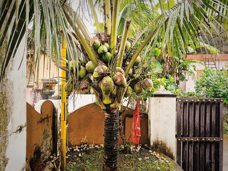 Swasthi Griha, Aranmūla, India