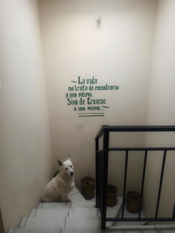 Airport Hostel, Ciudad Juárez, Mexico