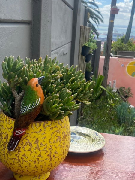 Walmer Cottage - Cute & Pet friendly, Cape Town, South Africa