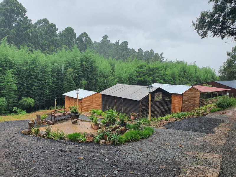 ROCKABILLY RANCH Self-Catering Guest Units, Pietermaritzburg, South Africa