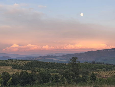 KatiKati Eco Lodge, White River, South Africa