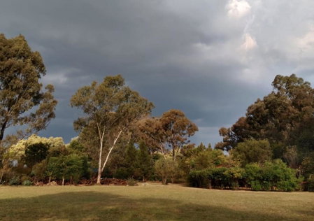 Woodland Gardens Self-Catering & Pet-Friendly Lodge, Magaliesburg, South Africa