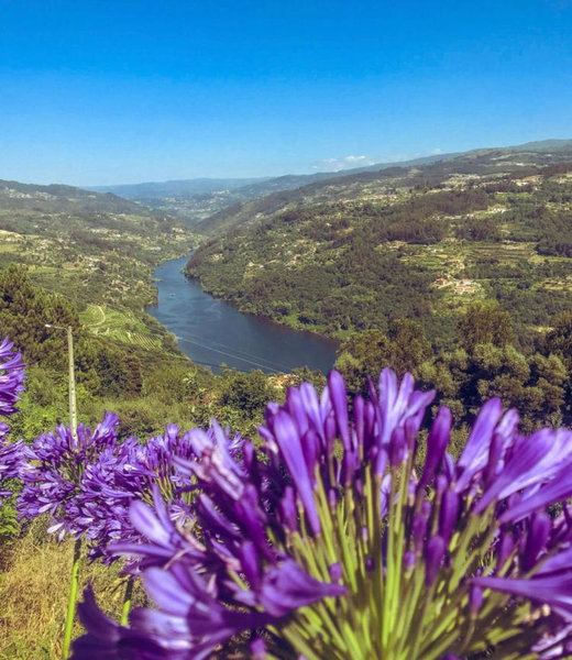 Mira Douro Valley Home, Marco de Canavezes, Portugal