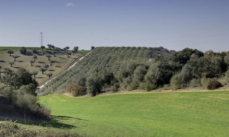 Quinta Da Mata, Sobral, Portugal