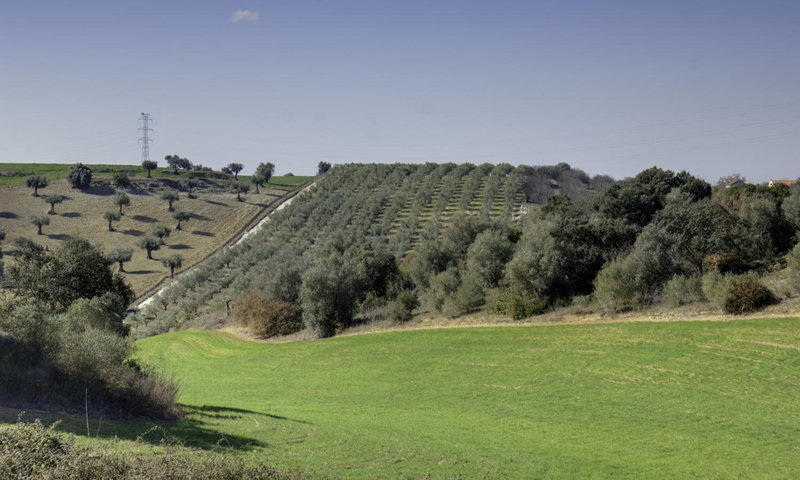 Quinta Da Mata, Sobral, Portugal