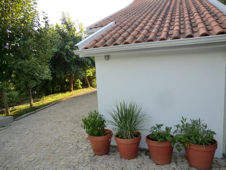 VianasHome, Amarante, Portugal