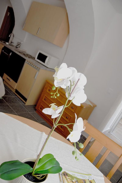 Hotel-Gasthof Restaurant Murblick, Judenburg, Austria