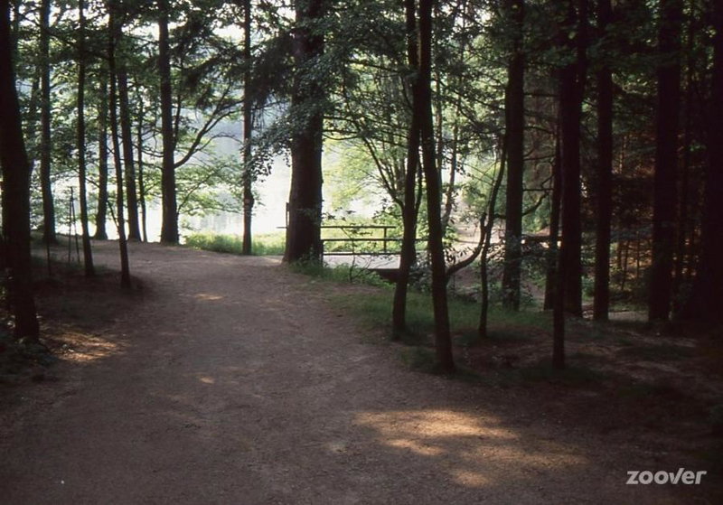 Hanko Martina, Litschau, Austria