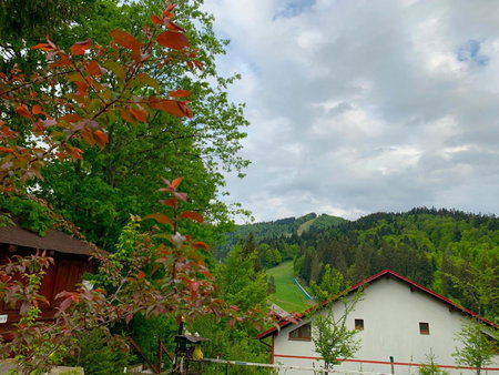 Francesco's Mountain Apartment, Predeal, Romania