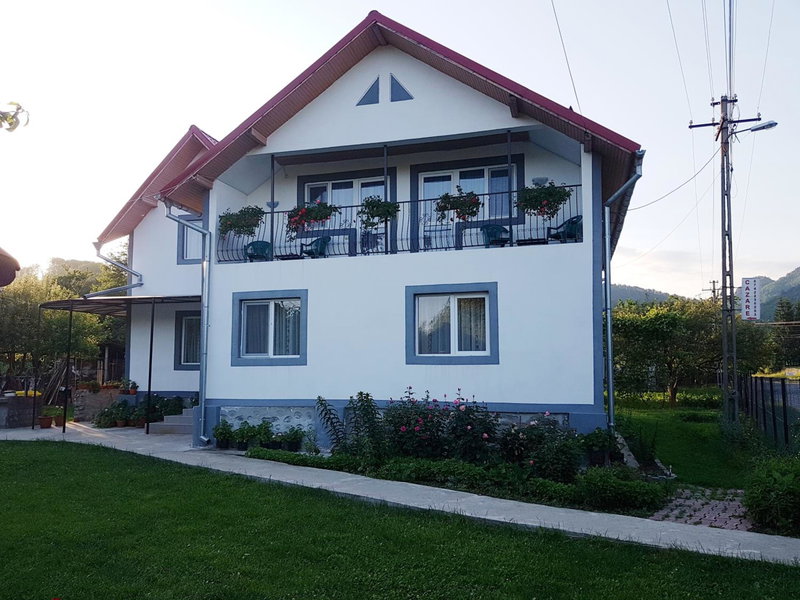 Floare de colt, Arefu, Romania