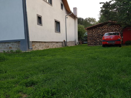 Floare de colt, Arefu, Romania