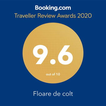 Floare de colt, Arefu, Romania