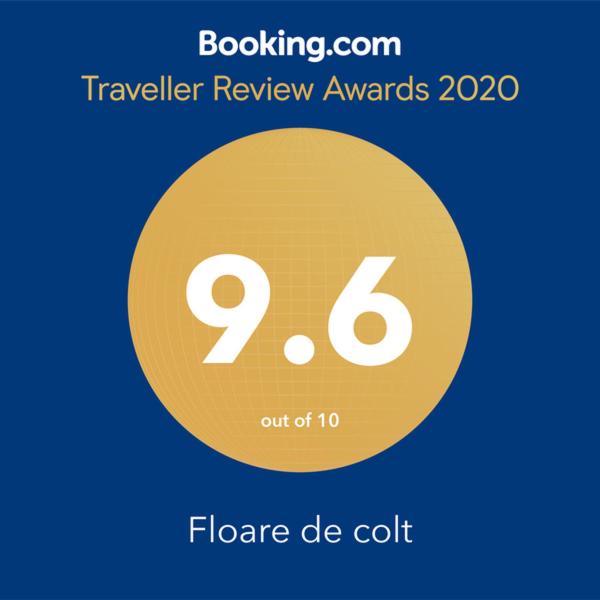 Floare de colt, Arefu, Romania