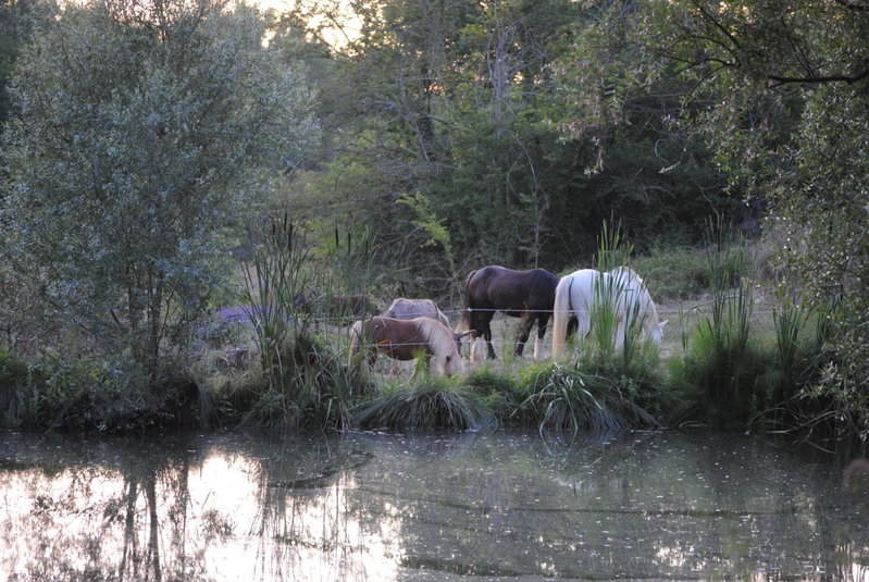 la Roulotte du Cos, Lamothe-Capdeville, France