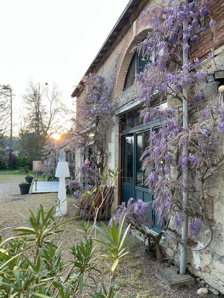 Chambres d'hôtes & SPA Les Perce Neige, Vernou-sur-Brenne, France
