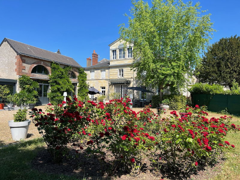 Chambres d'hôtes & SPA Les Perce Neige, Vernou-sur-Brenne, France